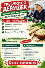 Сотрудник (образование)
