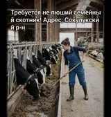 Семейный скотник (трезвый)