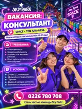 Продавец-консультант