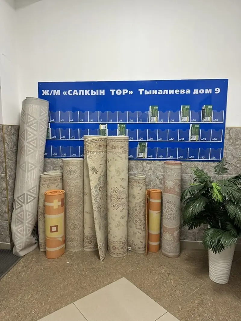 Профессиональная чистка ковров Моем турецкой роторной машинкой Сушим — фото 2