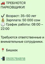 Парковщики