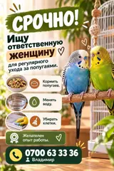 Ответственная помощник для регулярного ухода за попугаями