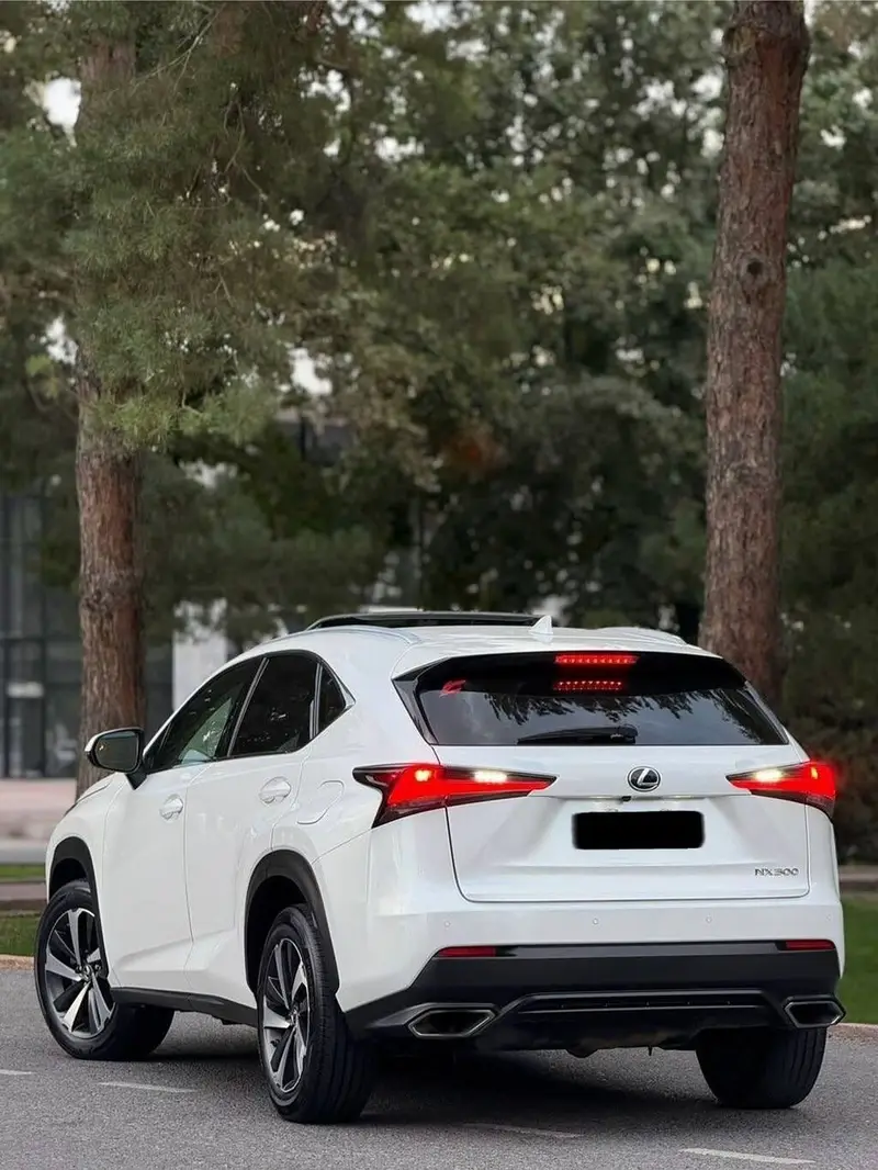 Сдаю Lexus NX, Посуточно, Без водителя — фото 3
