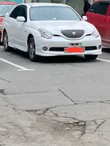 Моляр