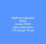 Дворник (ВЕФА)