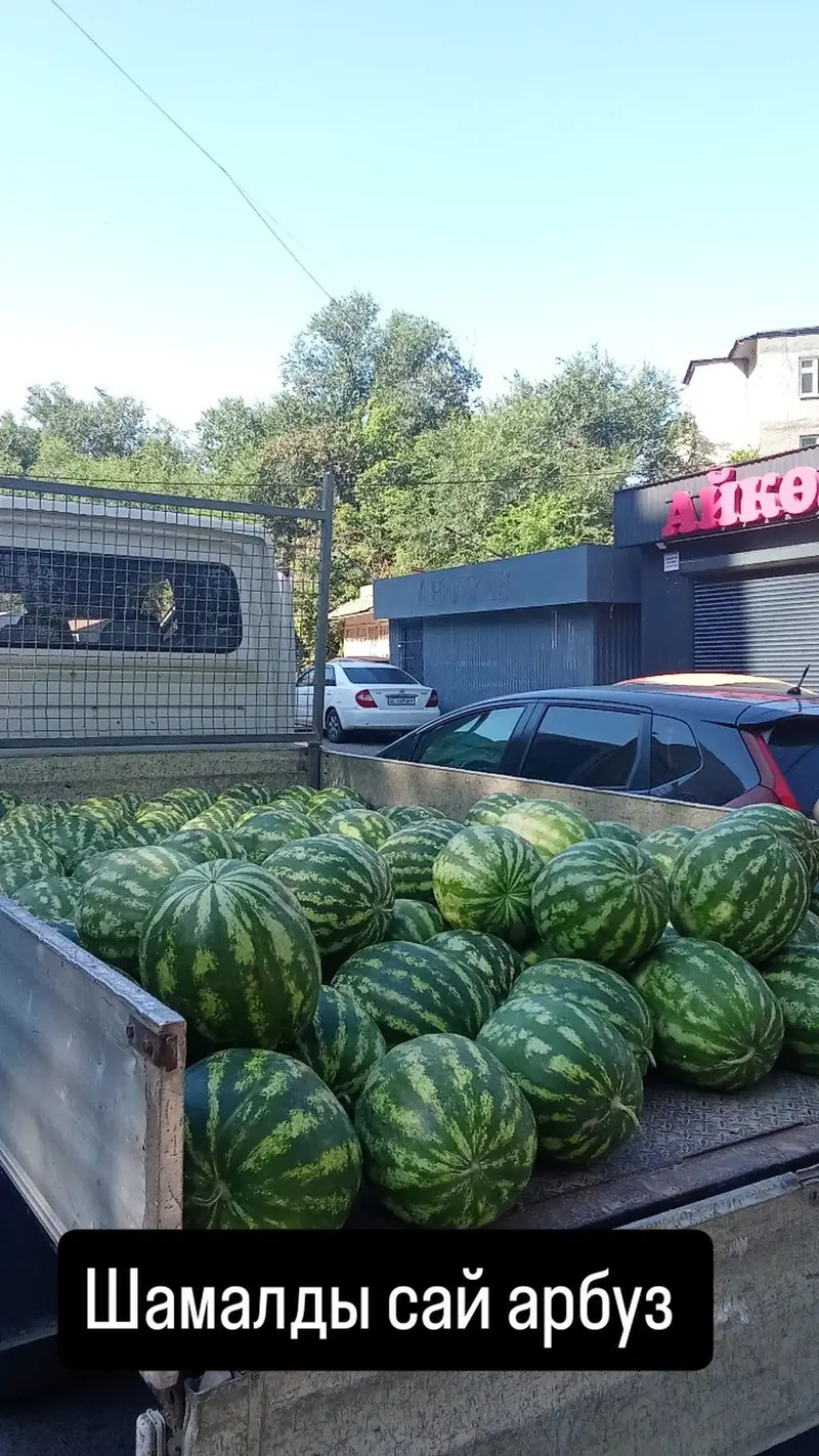 Грузоперевозки по городу (и вне города) также выезжаем в регионы длина — фото 2