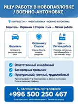 Ищу работу в Новопавловке / Военно-Антоновке (Кыргызстан). Ищу