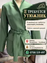Гладильщик