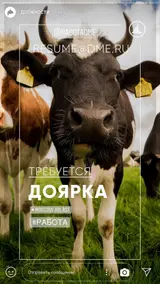 Доярки, скотники, механизаторы
