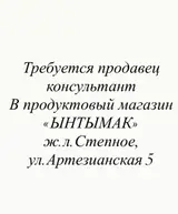 Продавец‑консультант
