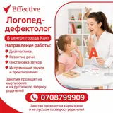 Логопед‑дефектолог Effective — в центре города Кант. Направления