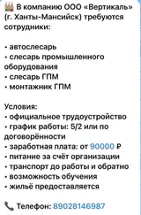 Вакансии в ООО «Вертикаль»