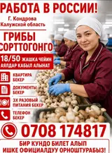 Разнорабочий на производство