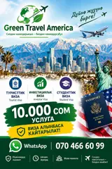 Услуги оформления виз в США от Green Travel America. Виды виз