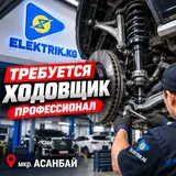 Ходовщик-профессионал