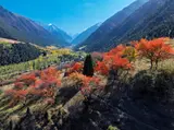 Фотосъёмка, Видеосъемка