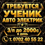 Ученик автоэлектрика