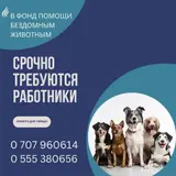 Сотрудник (услуги и подработка)