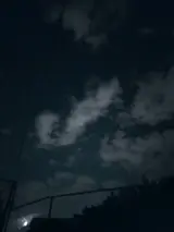 Официант. Без опыта