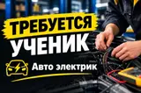 Помощник / ученик автоэлектрика