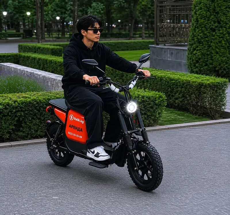 Запас хода 160 км 🇰🇬 ⚡ АРЕНДА ЭЛЕКТРОВЕЛОСИПЕДОВ В БИШКЕКЕ ⚡🇰🇬 🕷️c 🚲 — фото 5