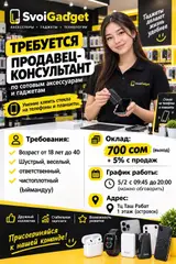 Продавец-консультант в Магазин электроники