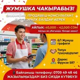 Продавец-консультант в Магазин одежды