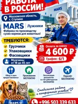 Упаковщик