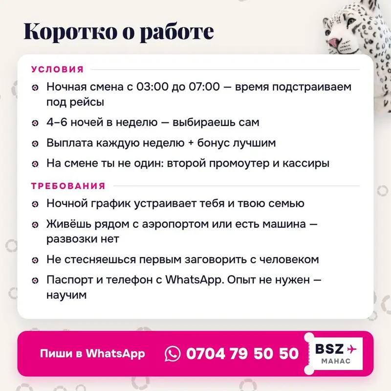Промоутер в аэропорт «Манас» на ночь — фото 2