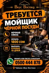 Посудомойщик