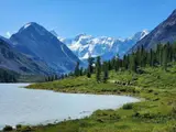 Ищем профессиональных охотников и проводников для организации охот в Кыргызстане
