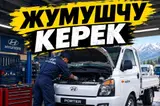 Балдар керек уйротуп алабыз 20 жаш тан ойдо болсо