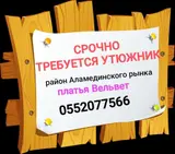 Гладильщик