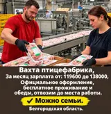 Место работы-Белгородская, Пензенская области, в России