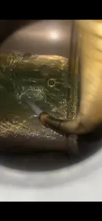 Дизельное топливо чистый гаспром (ДТ) с доставкой.