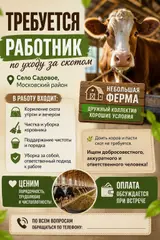 Работник по уходу за скотом
