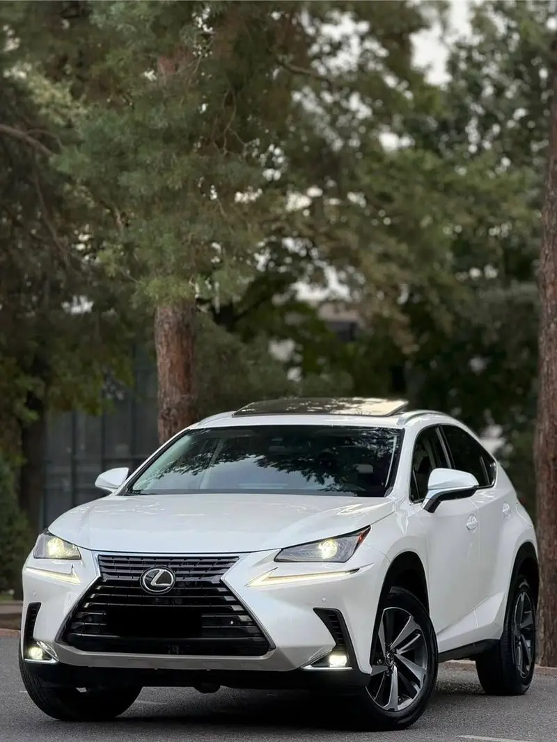 Сдаю Lexus NX, Посуточно, Без водителя — фото 2