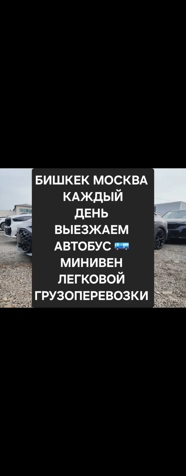 Пассажирские и грузовые перевозки по маршруту Бишкек — Москва. — фото 2