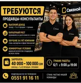 Продавец-консультант в Магазин электроники
