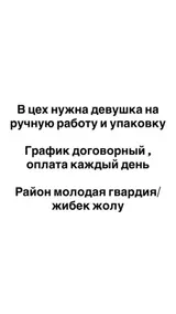 Упаковщик