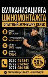 Шиномонтаж/вулканизация