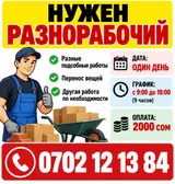 21 чи числого керек