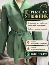 Гладильщик