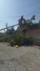 Отдам даром дрова