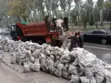 Услуги демонтажа и вывоза. строительного мусора