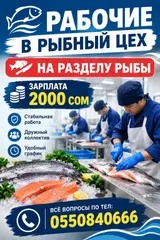 Рабочие в рыбный цех на разделку рыбы