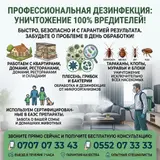 Профессиональная дезинфекция и дезинсекция: уничтожение 100%