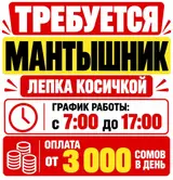 Повар