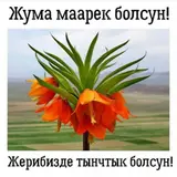 Тикмечилер керек тигуу цехке, 5 мкр