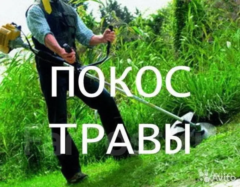 УСЛУГИ САДОВНИКА — фото 2